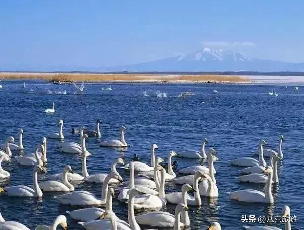 山东夏天值得去的旅游景点,夏天适合去的湖泊