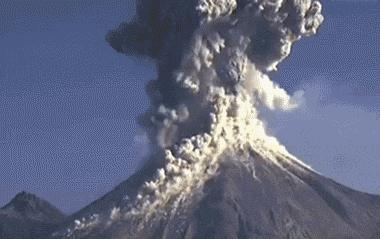 人类小蝌蚪怎么发育出来的,人类小蝌蚪是从哪儿来的