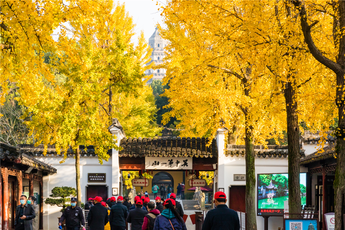秋天苏州游玩,苏州旅游攻略秋天
