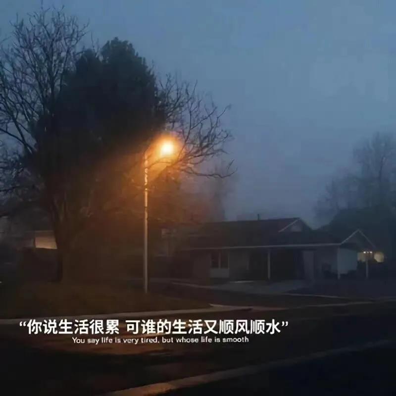 大自然治愈清新的背景图,文艺清新淡雅鲜花背景图