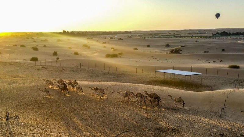 沙漠浪漫之旅迪拜,从天空进入海底