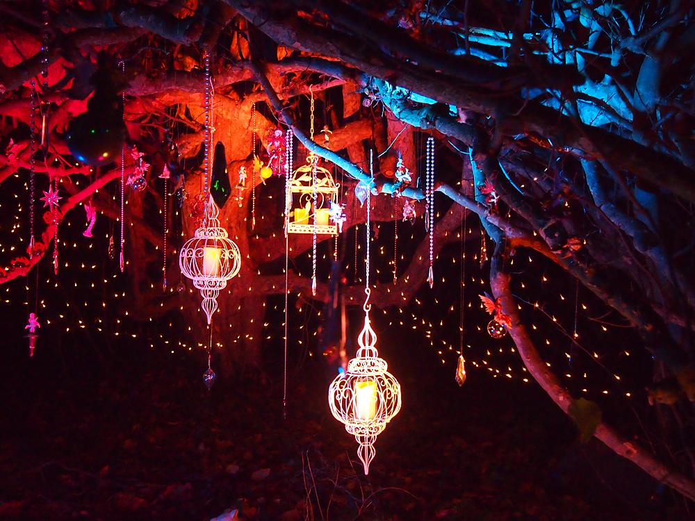 伦敦圣诞节点灯仪式,伦敦圣诞点灯