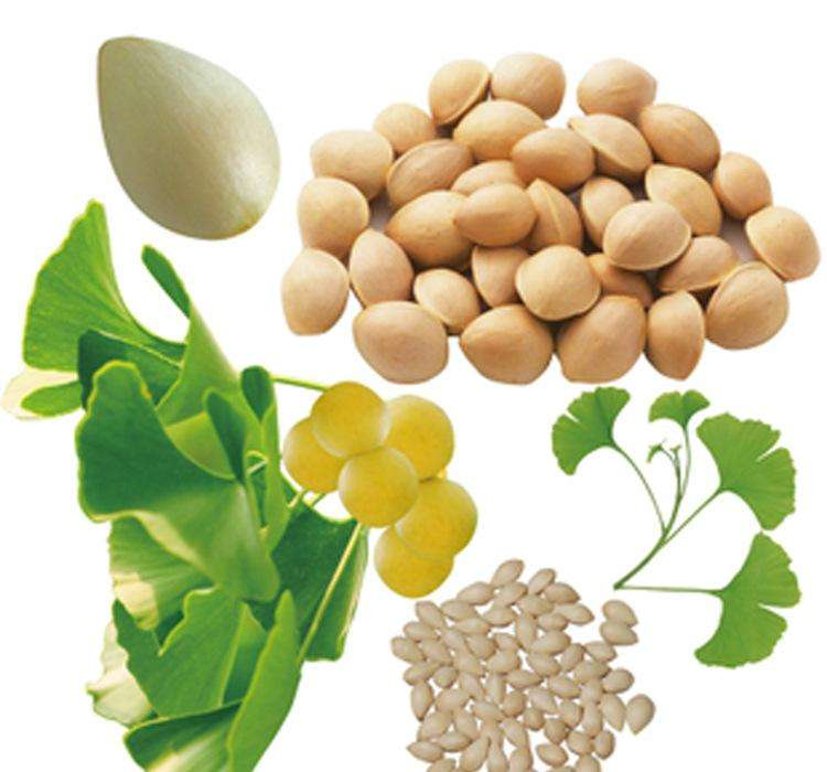 银杏叶营养成分表,银杏黄酮怎么吃