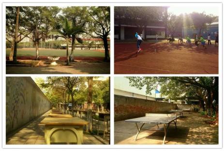 广东职业技术学院高职高考多少分,高职高考广东职业技术学院专业