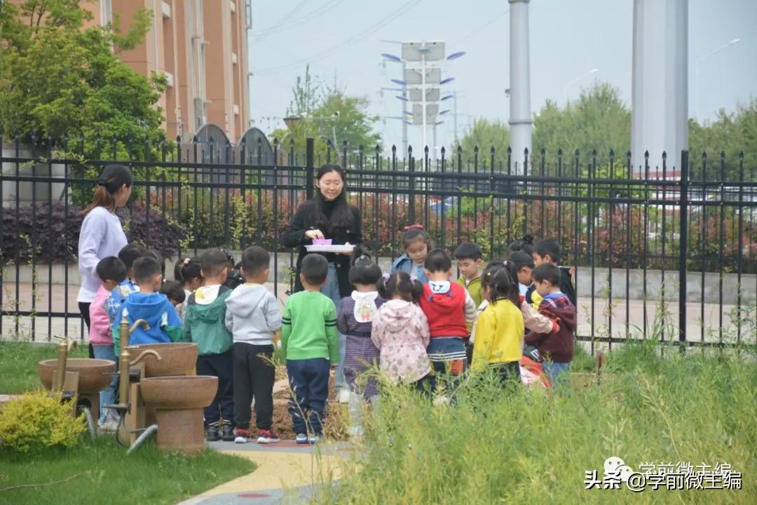 南京逸仙小学附属幼儿园,南京逸仙幼儿园性质