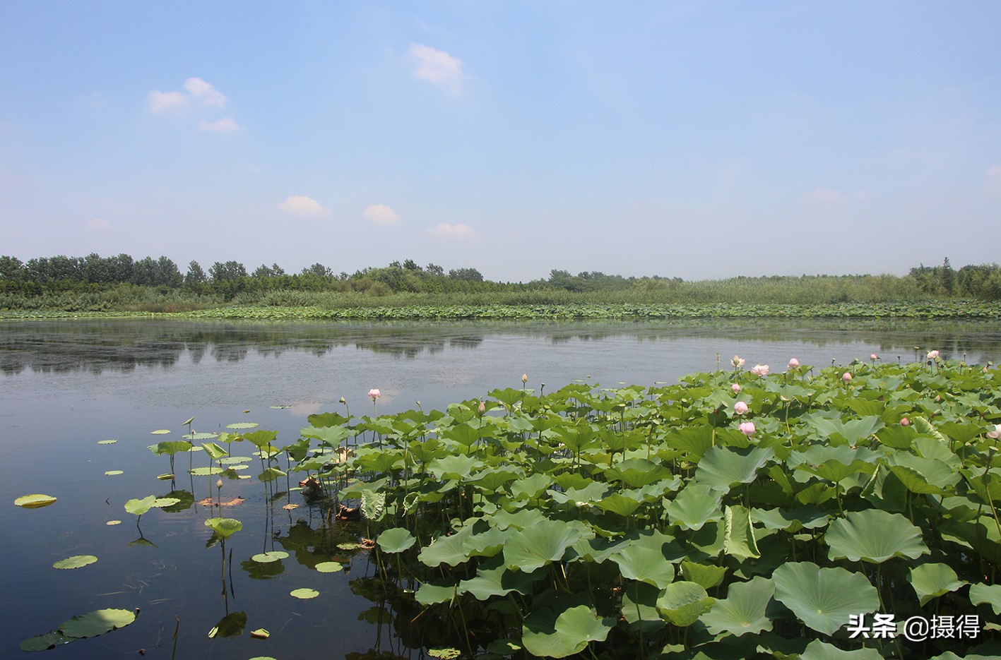 昆明百花山万亩花海,昆明薰衣草花海