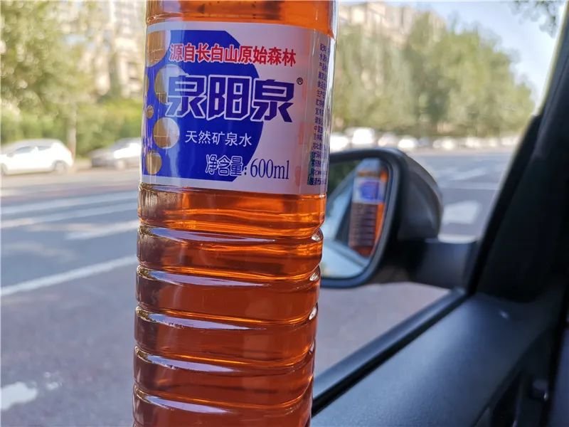 一任天真盈香易泡：冷泡，闷泡，淋泡轮番上阵怎么泡都好喝