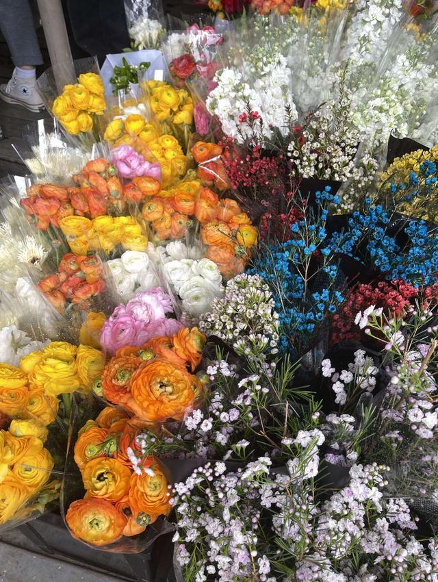 成都最值得逛的花卉市场,成都可以逛的花市