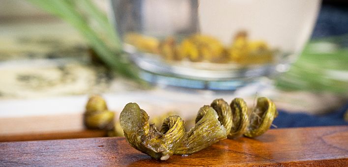 自己吃铁皮石斛什么样的最实惠,鲜铁皮石斛跟干铁皮石斛哪个好