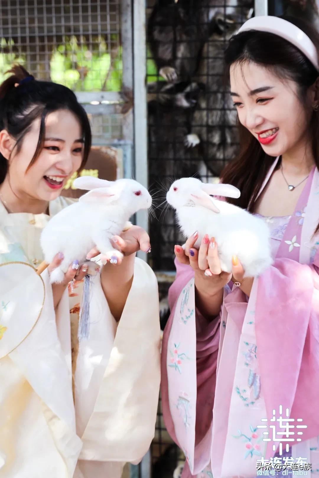 大连中秋节适合去哪里玩,中秋节大连游玩攻略