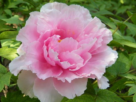 福建省漳州旅游景点大全,福建省漳州市风景区旅游景点介绍