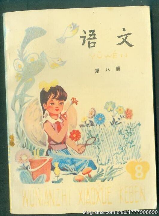 五年制小学语文课本80后回忆,80后一代人的上学生活回忆