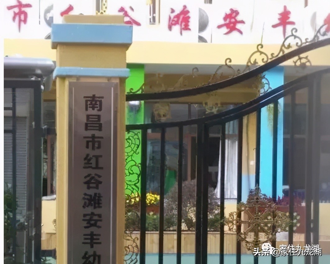 九龙湖幼儿园推荐,九龙湖幼儿园