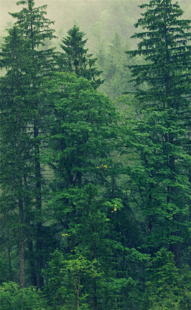 缓解眼睛疲劳壁纸颜色,缓解眼睛疲劳的壁纸高清