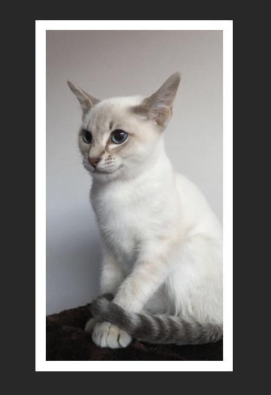 白底照片怎么拍怎么制作,如何制作无接缝照片教程