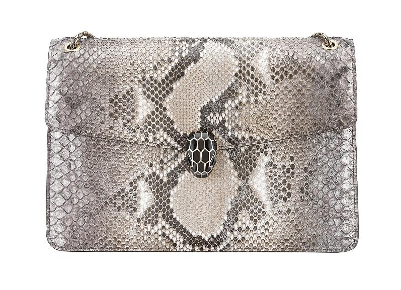 你们知道世界上最大的蛇在哪吗,目前世界上最大的蛇是什么蛇