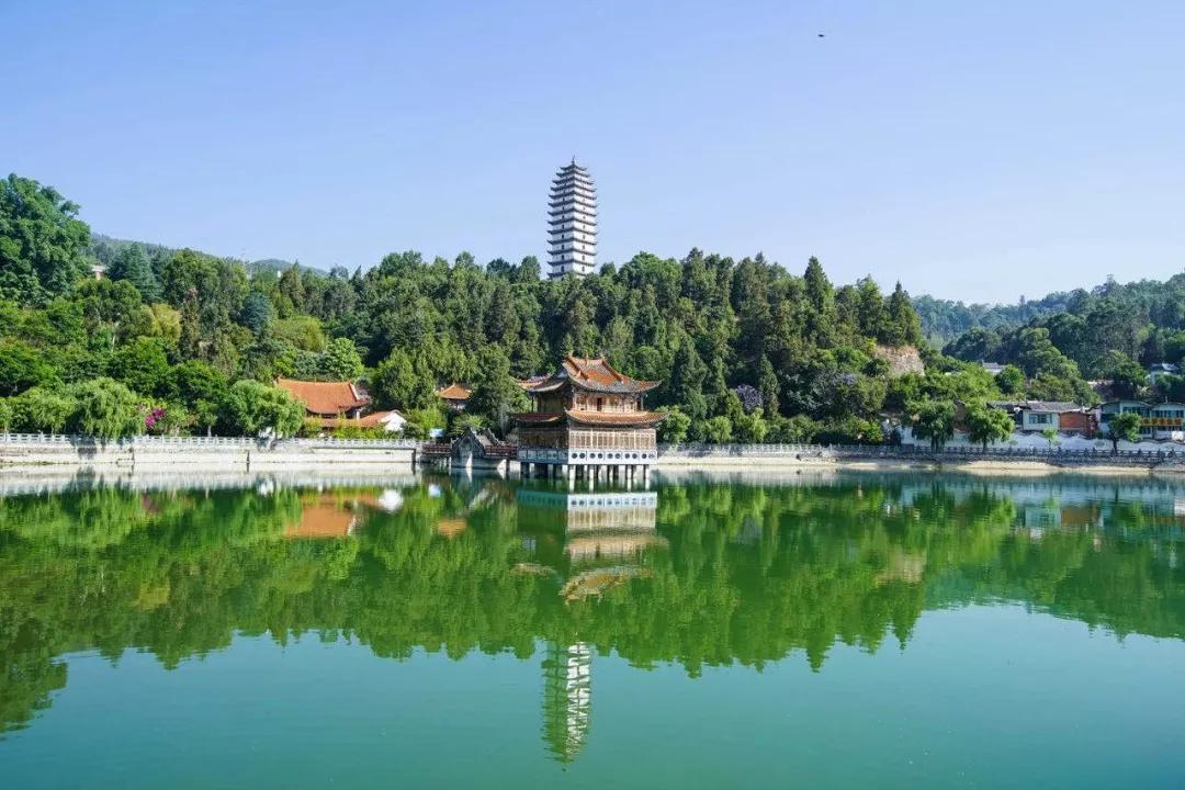 这是一个生机勃勃的地方关于它的故事才刚刚开始