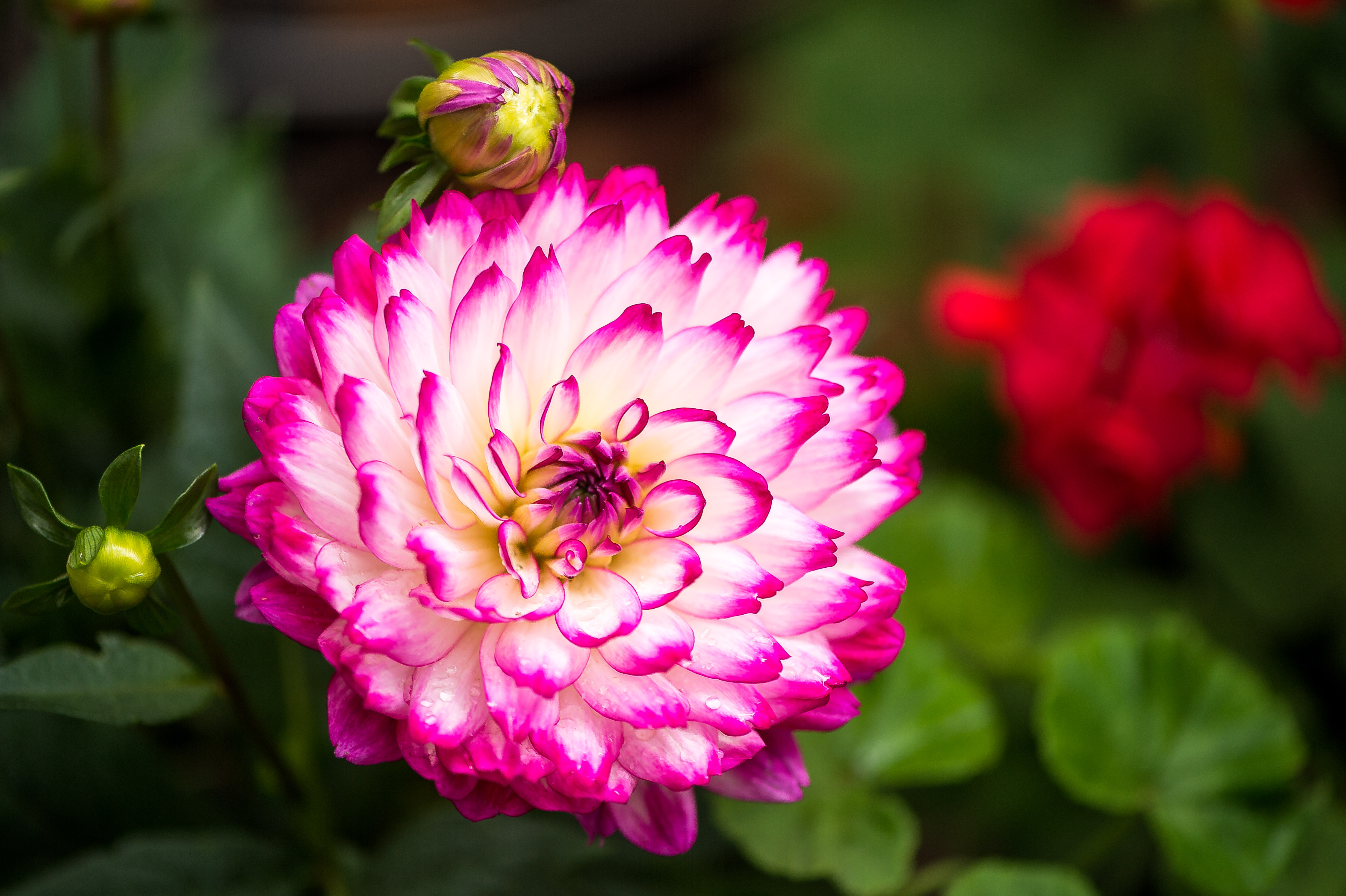 秋季川西摄影自驾游,川西七日自驾游攻略自由行