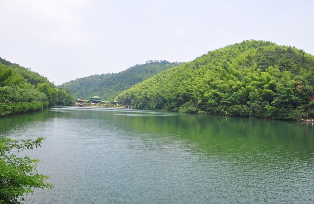 叮咚邀请函请注意查收,叮咚邀请函查收