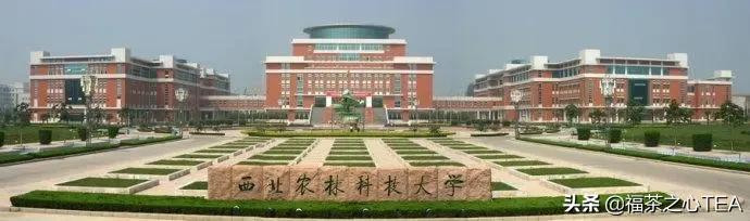 湖南农业大学茶学专业怎么样,广西有哪些高校开设茶学