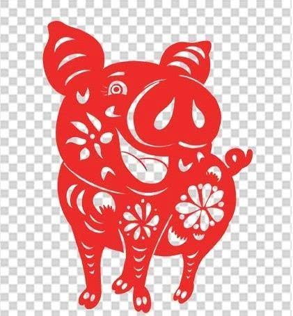 从丁亥到己亥—武昌水果湖中学六六届高三（1）班同学集会本命年