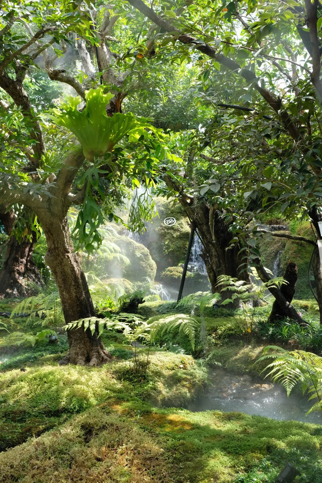 清迈美食攻略大全,最新清迈美食攻略