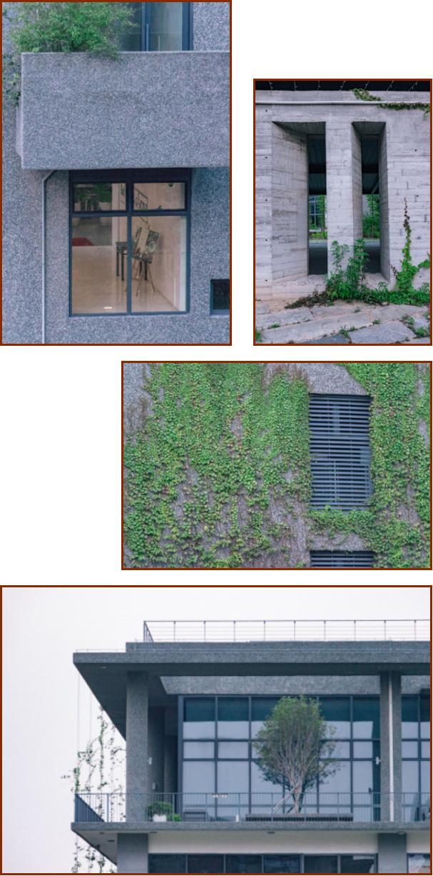 深圳风景最好的岛,深圳有个什么旅游岛