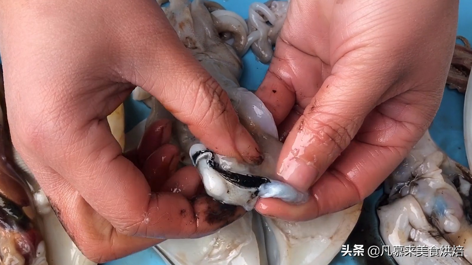 八爪鱼鱿鱼墨鱼海兔哪种好吃,鱿鱼海兔墨鱼八爪鱼区别