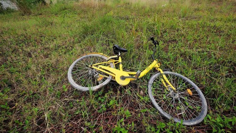 还敢自动续费！ofo使出连环计：让债主还债