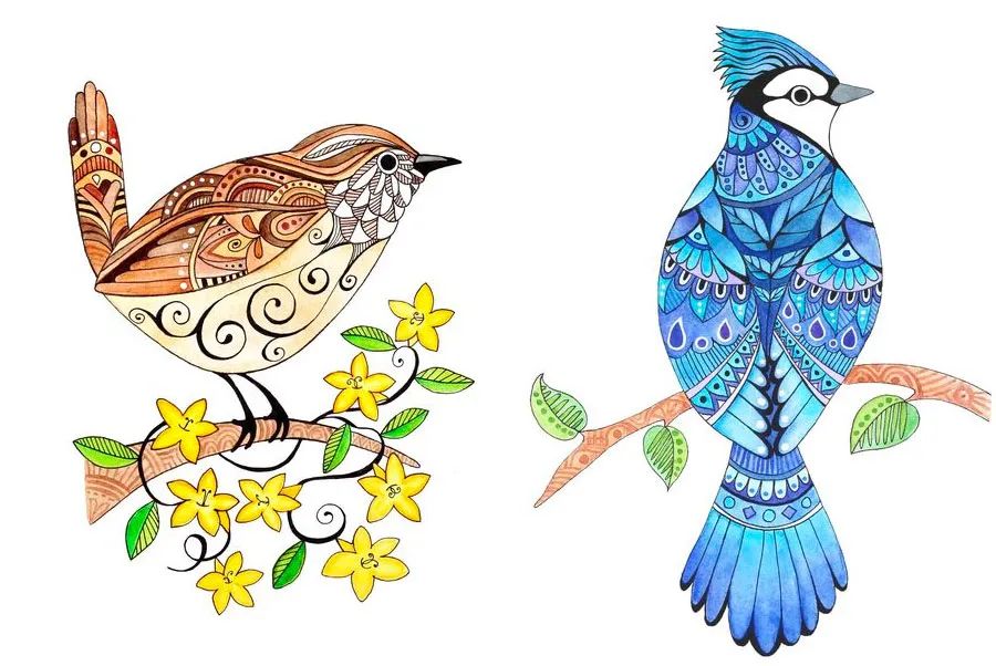 春天鸟语花香图片大全儿童画,鸟语花香儿童画简单又漂亮