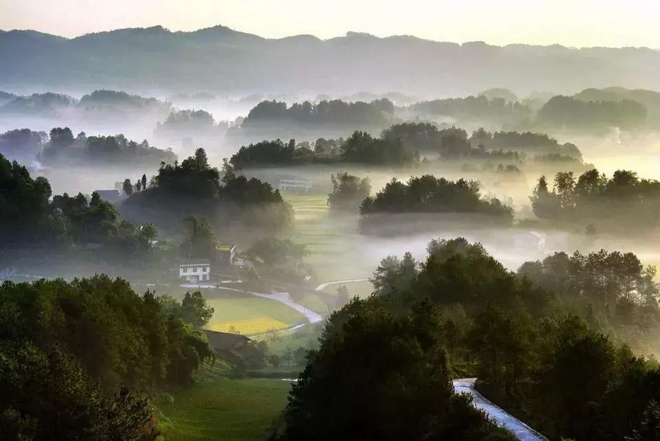 70年有什么经典的歌,6070年代都在听的一首歌