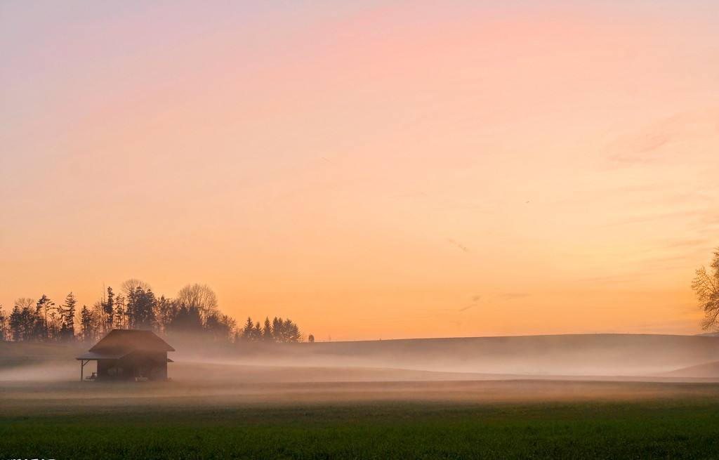 己巳丁卯乙亥庚辰是什么格局,八字甲子日柱案例