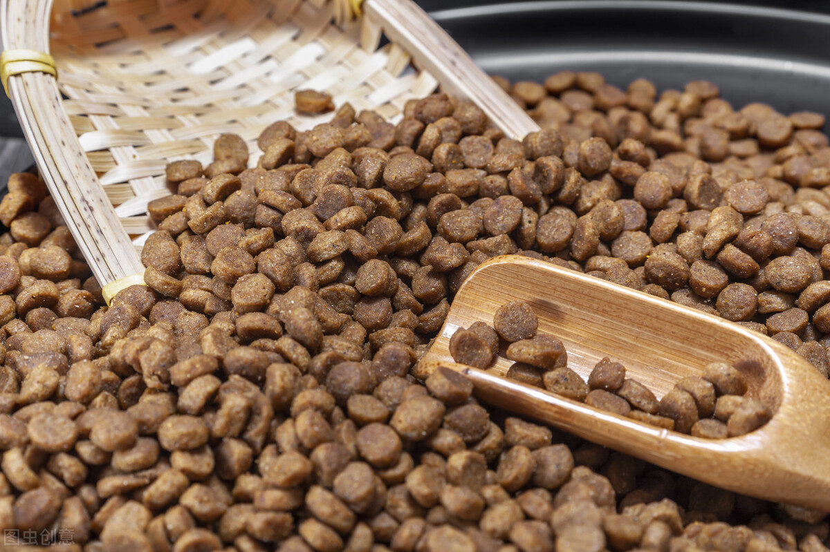 金毛犬不怎么爱吃狗粮,金毛犬吃什么狗粮最好吃