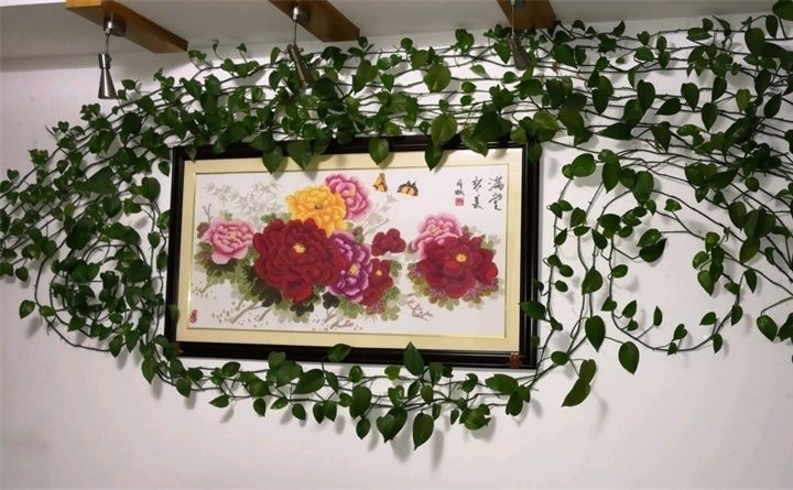 缁胯悵闀垮緱鏋濈箒鍙惰寕,浜哄鍏荤殑缁胯悵鏋濈箒鍙惰寕