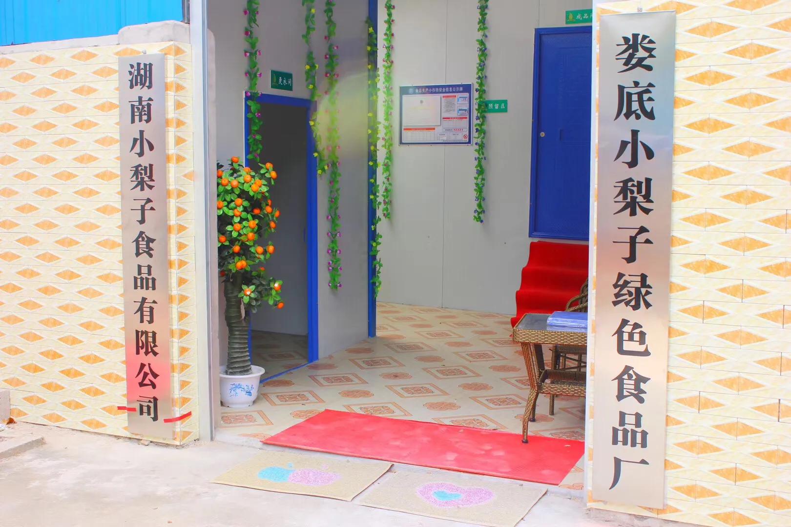 我为什么开始吃素,我为什么开始减肥的日记