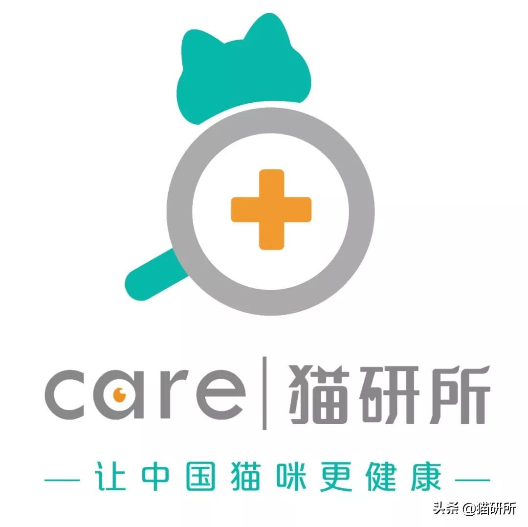 每天15分钟，医生手把手教你做17项猫咪全身检查