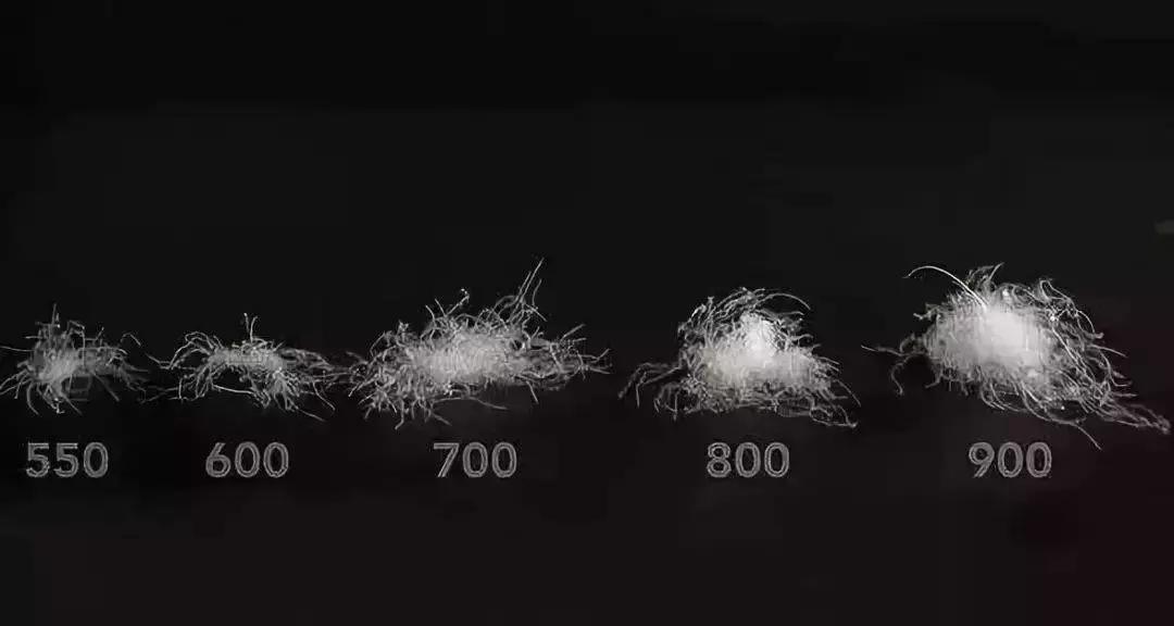 突然间觉得是不是该买件羽绒服了,现在是不是该买羽绒服了