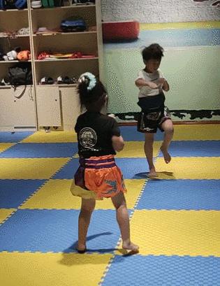 散打搏击跆拳道截拳道有什么区别,搏击散打跆拳道哪个适合6岁小孩