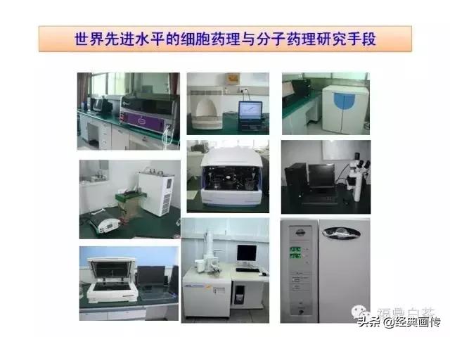 刘仲华白茶功效,刘仲华谈福鼎白茶