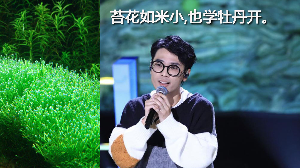 2020年中国好声音10大金曲排行榜，单依纯压轴，4首是原创