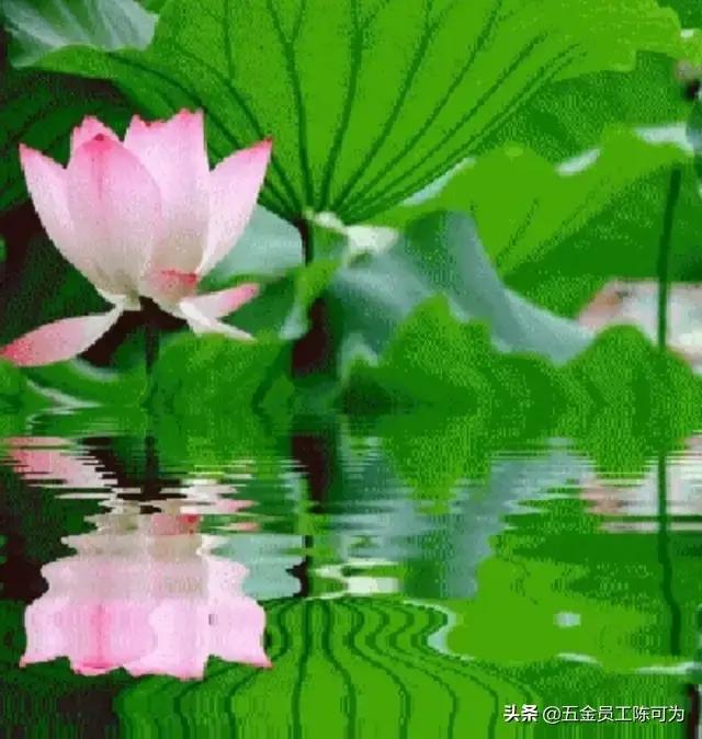 咏荷的诗句及赏析,历代咏荷的诗一百首