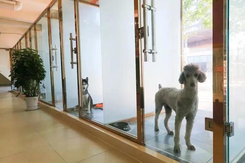 青岛胶南红树林旅游景点,西海岸红树林度假世界