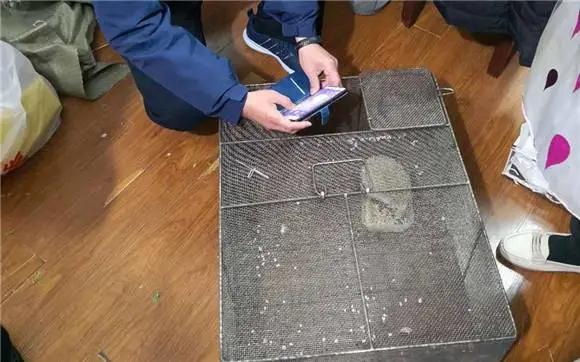 话题-刺猬能不能当宠物养？嘉定一租客被举报了