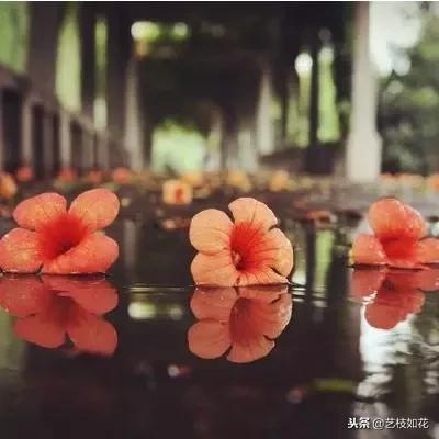 流年无恙谁许过,流年无恙岁月静好