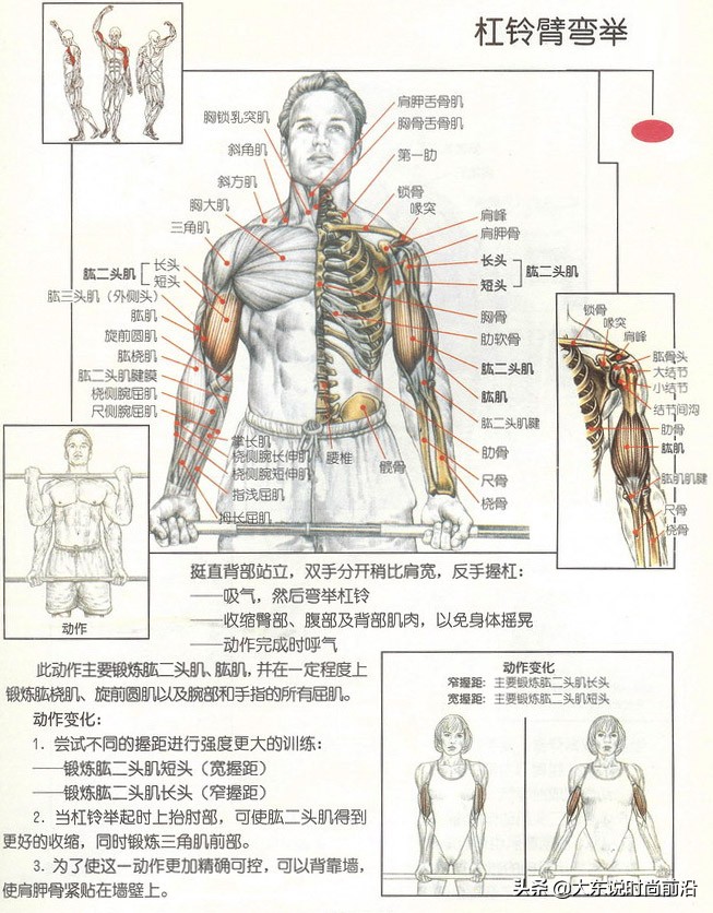 减脂午餐一周安排表,减脂健身计划一周表图