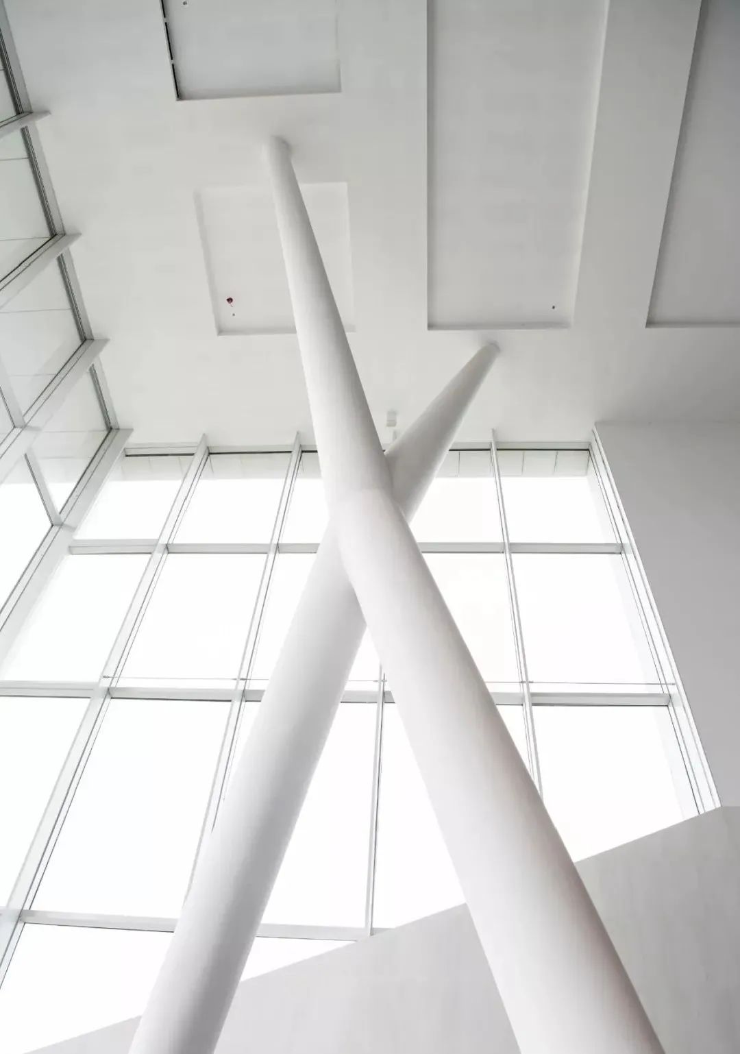 深圳灯光秀与武汉灯光秀,春光无限好深圳