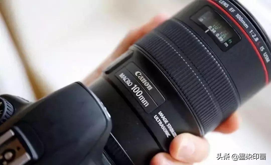 拍摄参数与技巧完全剖析微距摄影,微距拍摄技巧图片大全