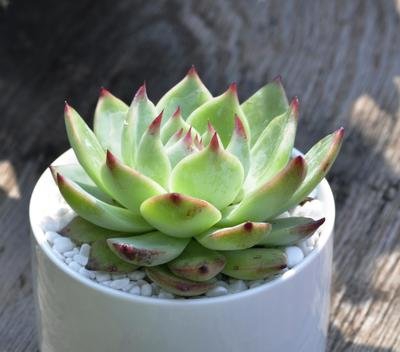 手把手教你一个月入过万的方法,月入过千的诀窍