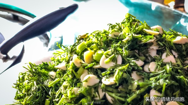 北京密云清凉谷景区25周年庆,密云清凉谷景区旅游攻略