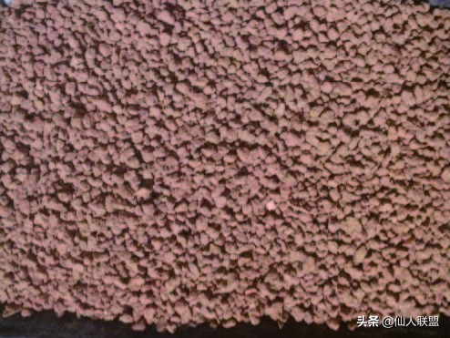 石食者THESTONEEATERS六